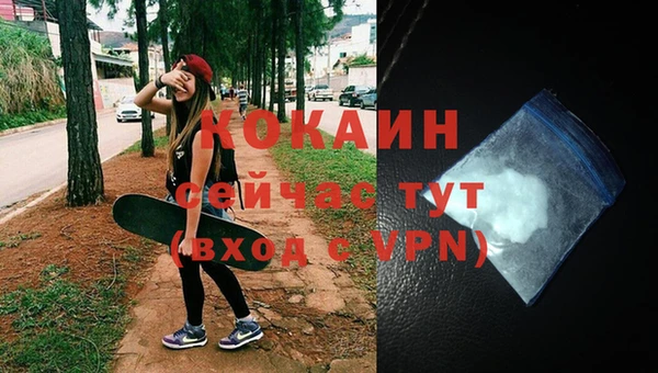 индика Баксан