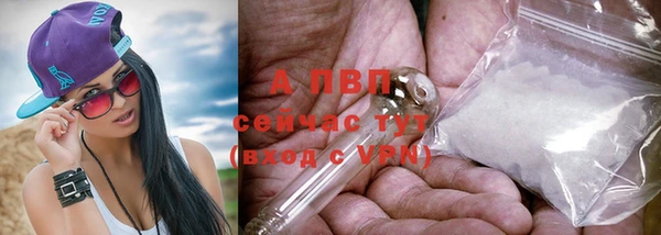 индика Баксан