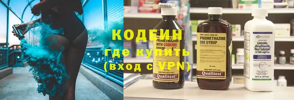 индика Баксан