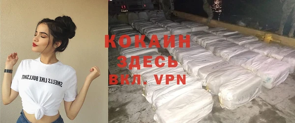 индика Баксан
