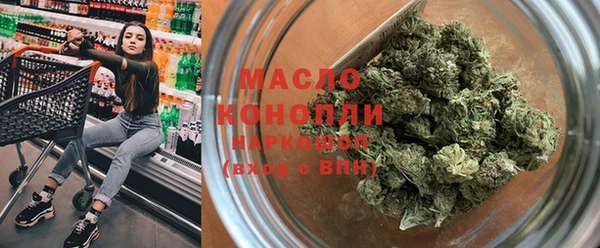 индика Баксан