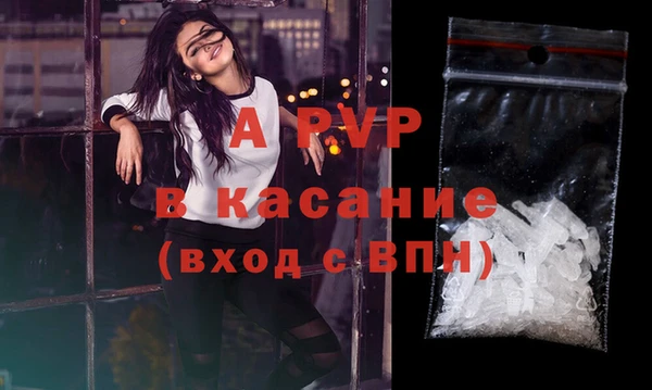 индика Баксан