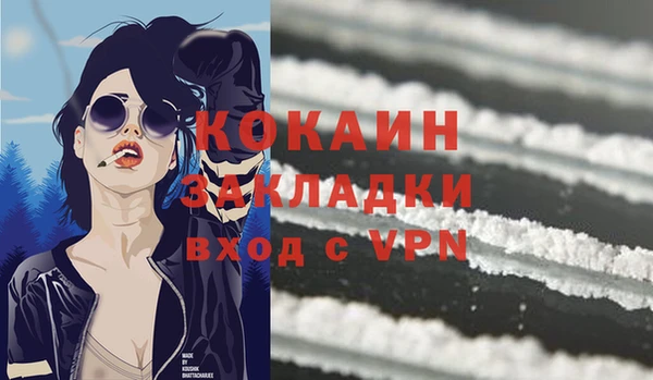 индика Баксан