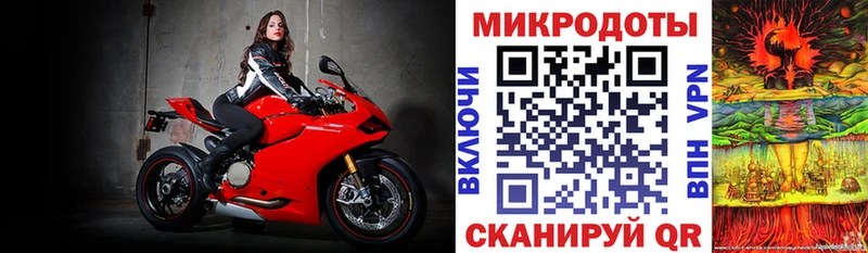 Галлюциногенные грибы прущие грибы  Зерноград 
